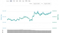 Bitcoin dao động quanh ngưỡng 6.500 USD